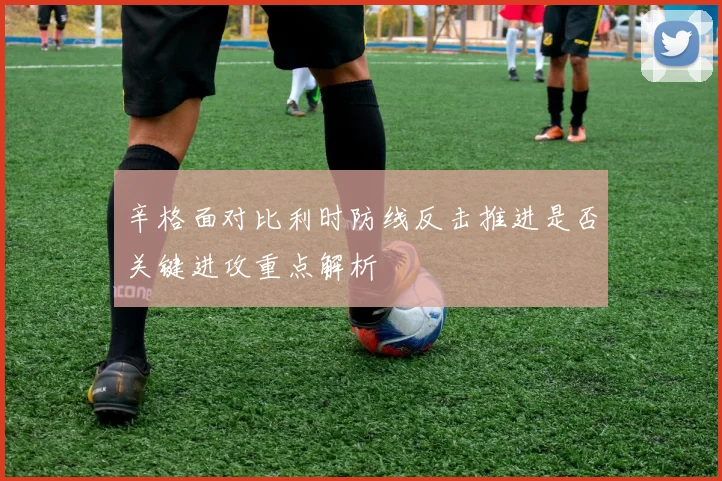 辛格面对比利时防线反击推进是否关键进攻重点解析